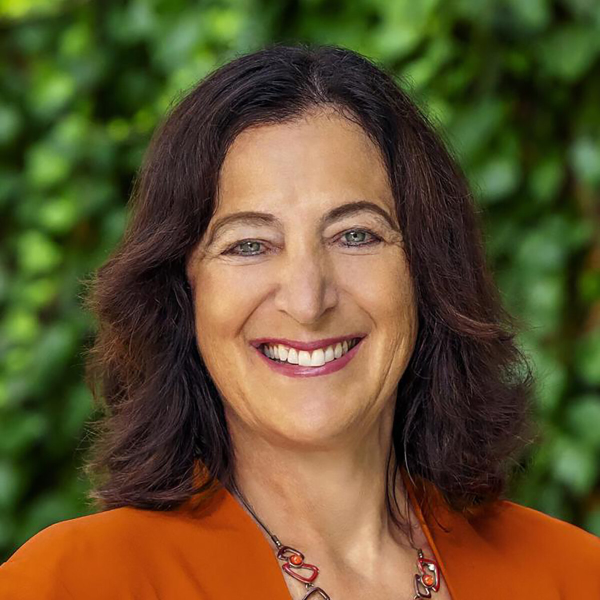 Professor Andrea Goldsmith